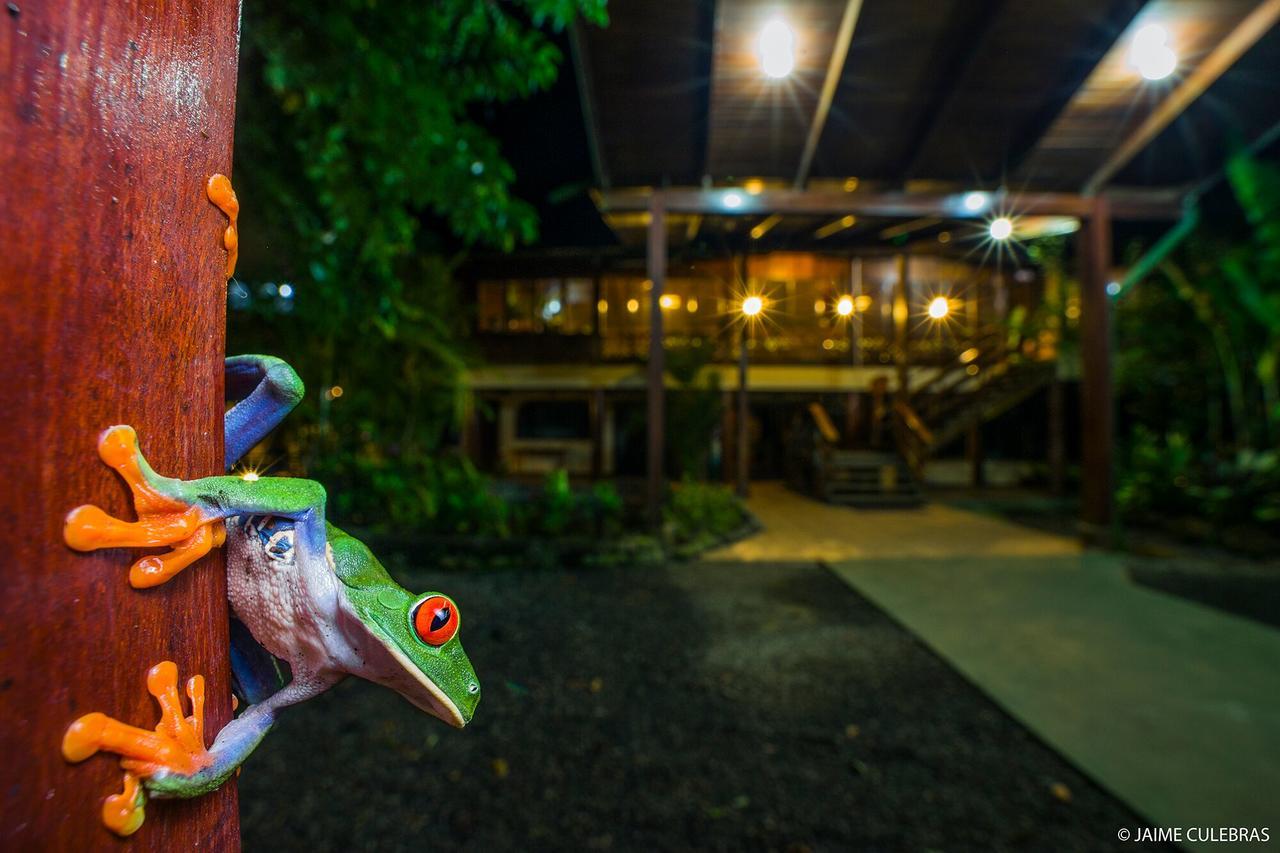 Selva Verde Lodge Sarapiqui Exterior photo